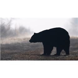 New Brunswick, Canada - 1 Hunter for 5-Day Hunt for Black Bear