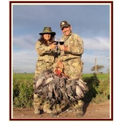 Cordoba, Argentina - 4 Hunters for 4 Days of High-Volume Dove Shooting