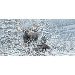 Print: PATIENT SUITOR: MOOSE by Michael Sieve