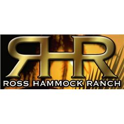 Florida, USA - 2 Hunters for 1.5 Day Wild Hog Hunt