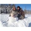 Image 1 : Northern Ontario, Canada - 1 Hunter for 5-Day Wolf Hunt