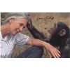 Image 1 : Jane Goodall