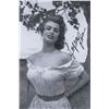 Image 2 : Sophia Loren