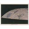 Image 1 : Apollo 13 Signed Photograph