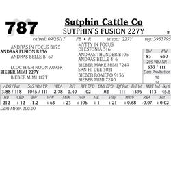 SUTPHIN`S FUSION 227Y