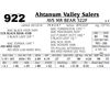 Image 1 : AVS MR BEAR 322F