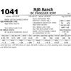 Image 1 : BC SWAGGER 859F