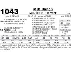 MJB THUNDER 942F