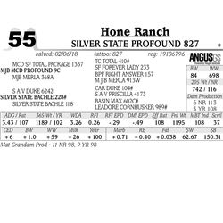 Silver State Profound 827