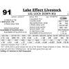 Image 1 : LEL Lock Down 851