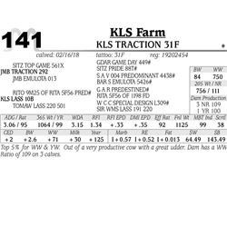 KLS Traction 31F