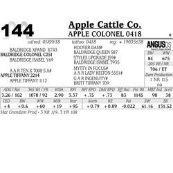 APPLE Colonel 0418