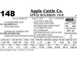 APPLE Bourbon 1918