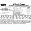 Image 1 : Welytok Bashra Rampage 8F23