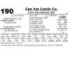 Image 1 : Can Am Omaha 807