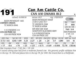 Can Am Omaha 812