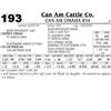 Image 1 : Can Am Omaha 834