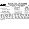 Image 1 : Curtin Cowboy Up 8038