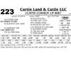 Image 1 : Curtin Cowboy Up 8087