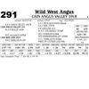 Image 1 : Cain Angus Valley 5918