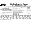 Image 1 : BAR Black Cedar 850