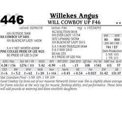 Will Cowboy Up F46