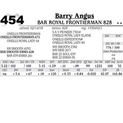 BAR Royal Frontierman 828