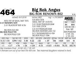 Big Rok Renown 802