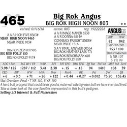 Big Rok High Noon 803