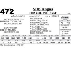 SHB Colonel 475F