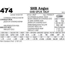 SHB Spur 482F