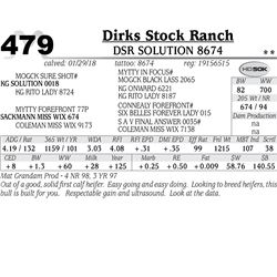 DSR Solution 8674