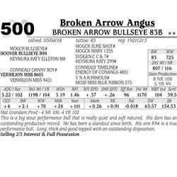 Broken Arrow Bullseye 83B