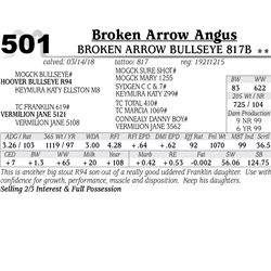 Broken Arrow Bullseye 817B