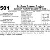 Image 1 : Broken Arrow Bullseye 817B