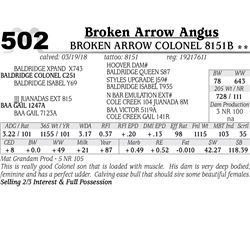 Broken Arrow Colonel 8151B