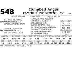 Campbell investment 8233