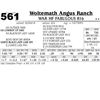 Image 1 : WAR HF Fabulous 816