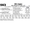 Image 1 : BM Weigh Up 1801 157