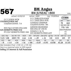BM Juneau 1800