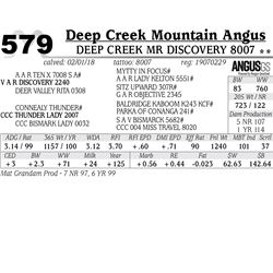 Deep Creek Mr Discovery 8007