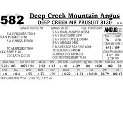 Deep Creek Mr Prusuit 8120