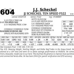 JJ Scheckel Ten Speed F522