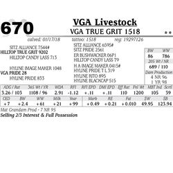 Vga True Grit 1518