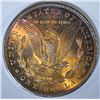 Image 2 : 1885 MORGAN DOLLAR, CH BU
