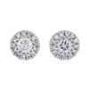 0.25 ctw Diamond Earrings - 14KT White Gold