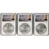 Image 1 : Lot of (3) 2015 $1 American Silver Eagle Coins NGC MS69 First Releases