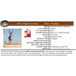 2019 Utah Buck Pronghorn Antelope