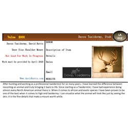 Deer Size Shoulder Mount by Daves Taxidermy