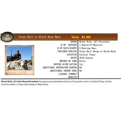 Texas Dall Sheep or Black Buck Hunt